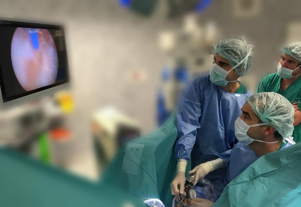 hospital Gaia 2017