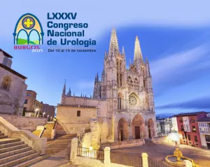 Ponente invitado congreso nacional urologia, burgos